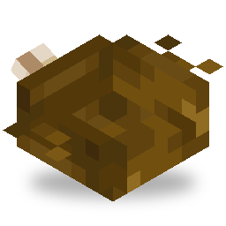 stew
